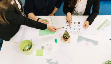 ESG Strategy & Implementation