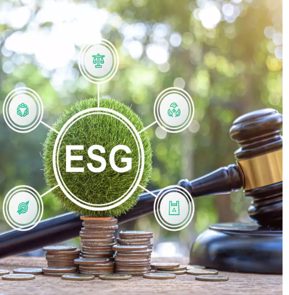 EU Commission Adopts Sustainability Reporting Standard for Small Companies